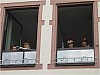 l041.jpg l041.jpg
