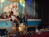 1617Sitzung (164).jpg 1617Sitzung (164).jpg