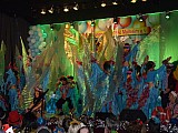 Superfastnachter2017 (231).jpg Superfastnachter2017 (231).jpg