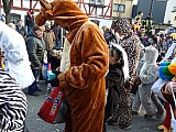1718 Umzug (286).jpg 1718 Umzug (286).jpg