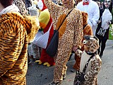 1718 Umzug (287).jpg 1718 Umzug (287).jpg