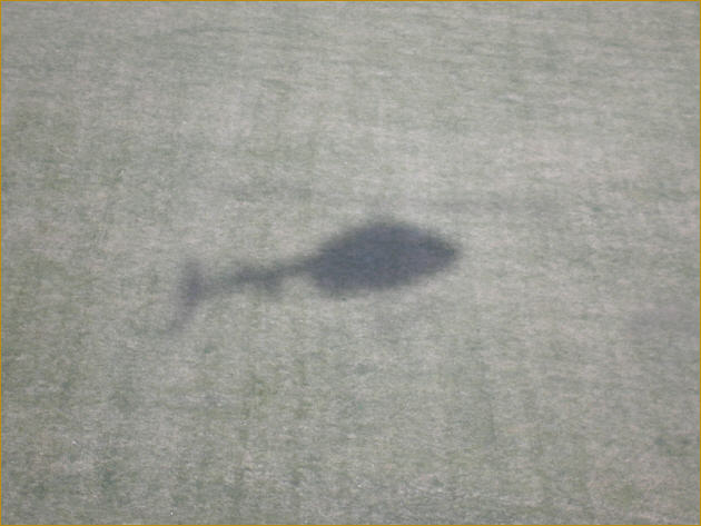 l015.jpg